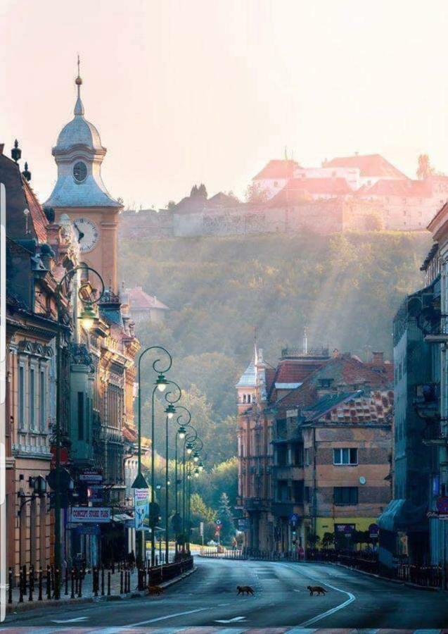 Strada Republicii Nr 26 Apartment Брашов Екстериор снимка